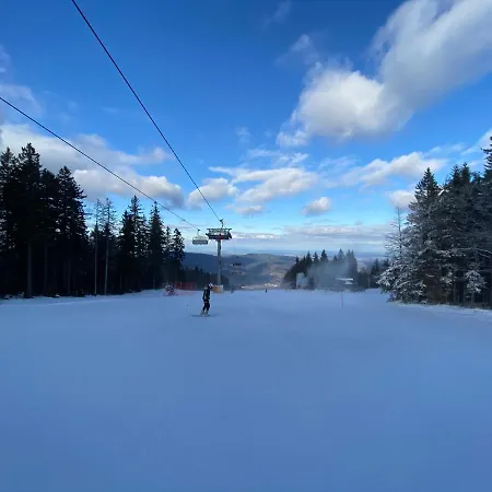 Neli Mariborsko Pohorje Hočko Pohorje