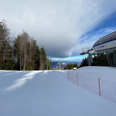 Neli Mariborsko Pohorje Hočko Pohorje