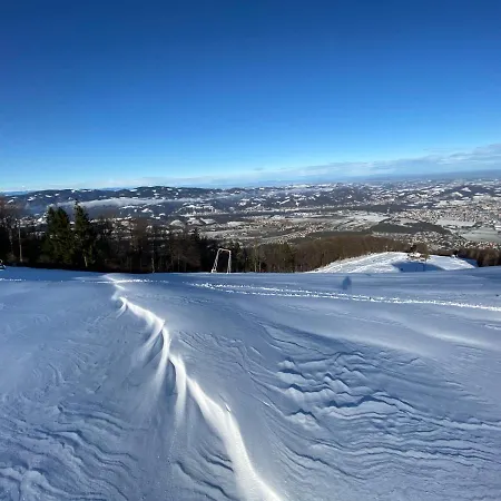 Neli Mariborsko Pohorje * Hočko Pohorje