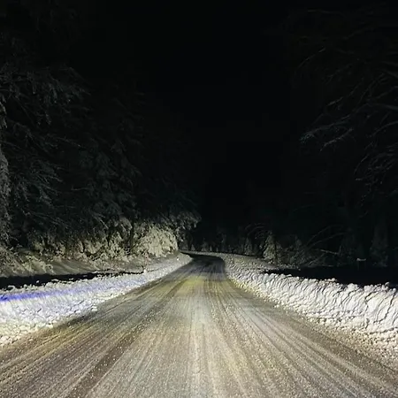 Lejlighed Neli Mariborsko Pohorje