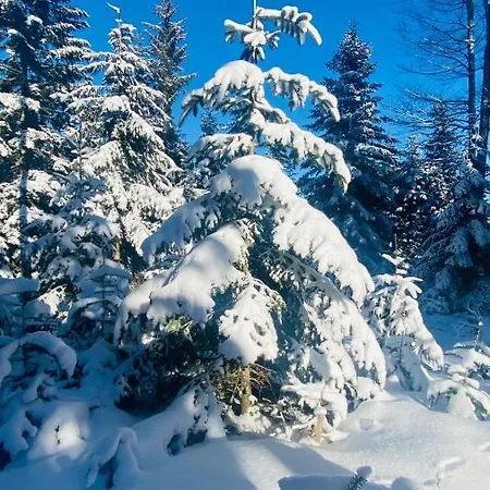 Neli Mariborsko Pohorje Hočko Pohorje