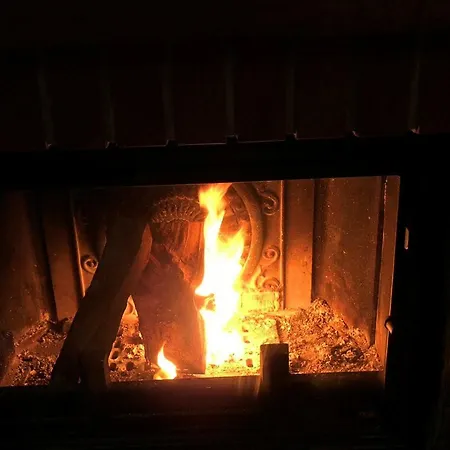 Neli Mariborsko Pohorje Hočko Pohorje