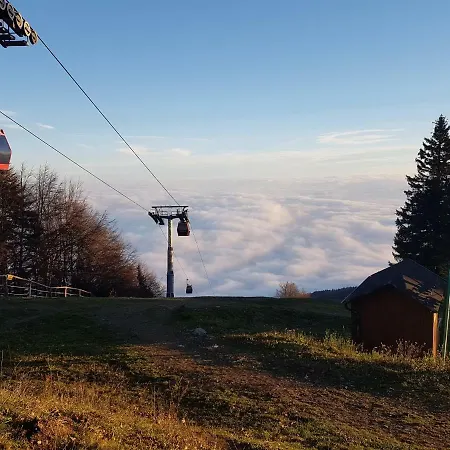 Neli Mariborsko Pohorje *