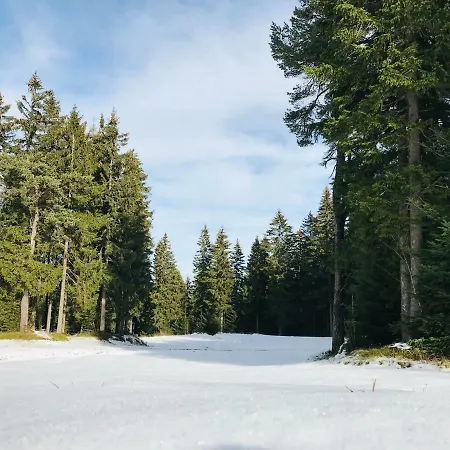 Neli Mariborsko Pohorje