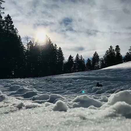 Neli Mariborsko Pohorje Lejlighed *