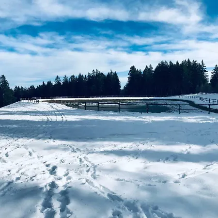 Neli Mariborsko Pohorje Lejlighed *