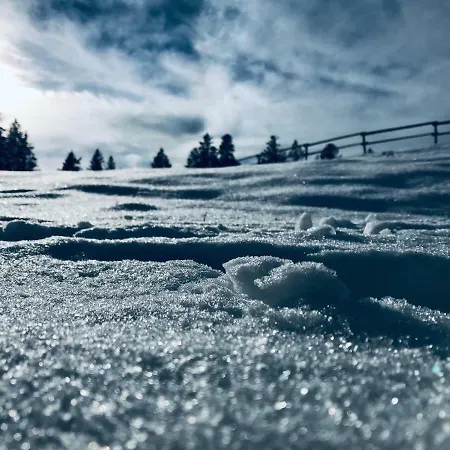Lejlighed Neli Mariborsko Pohorje *
