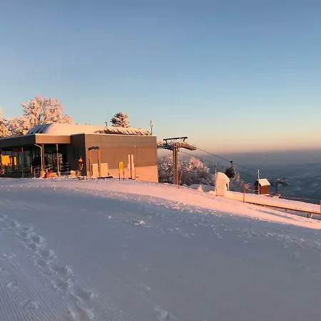 Neli Mariborsko Pohorje Lejlighed