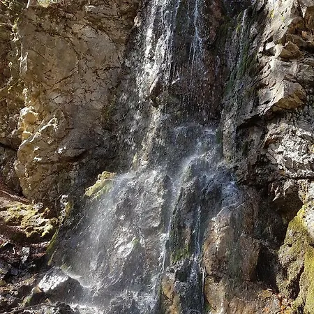 Neli Mariborsko Pohorje Apartmán *