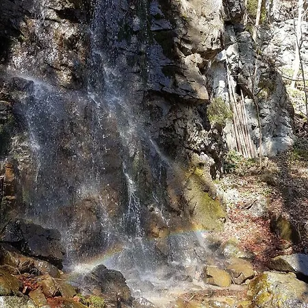 Neli Mariborsko Pohorje * Hočko Pohorje